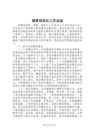 城管局局长工作总结