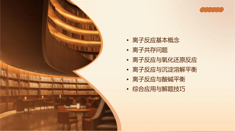 离子反应一轮复习课件_第2页