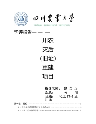 环境影响评价报告书