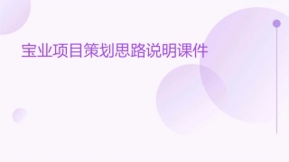 宝业项目策划思路说明课件