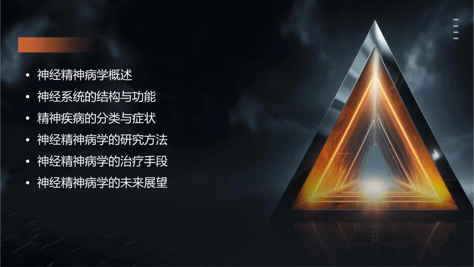 神经精神病学课件_第2页
