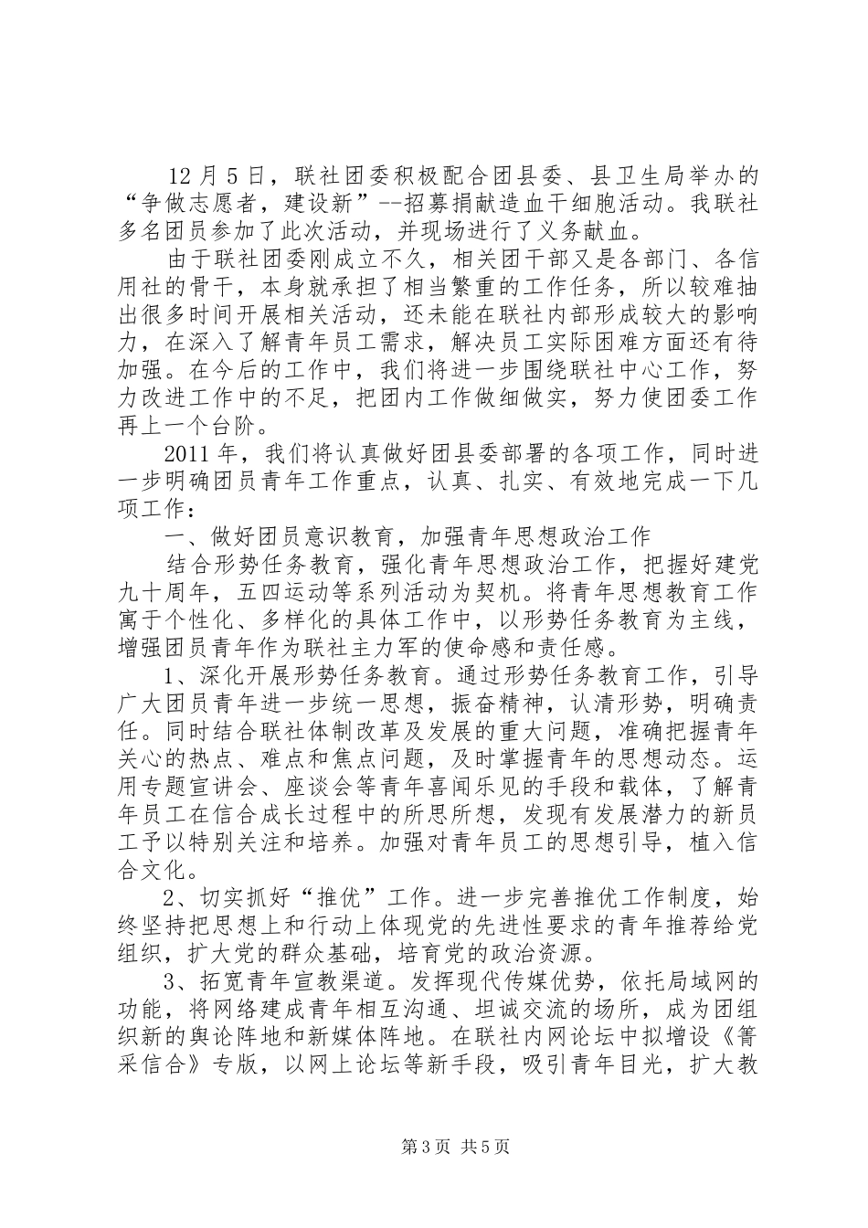 基层农信社团委年终总结及明年重点_第3页
