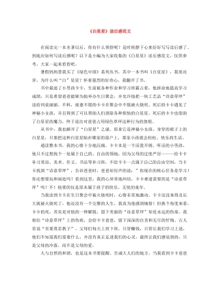 《白星星》读后感范文 