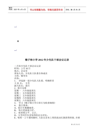 某某小学年度少先队干部会议记录