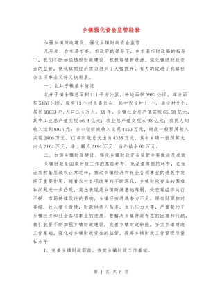 乡镇强化资金监管经验