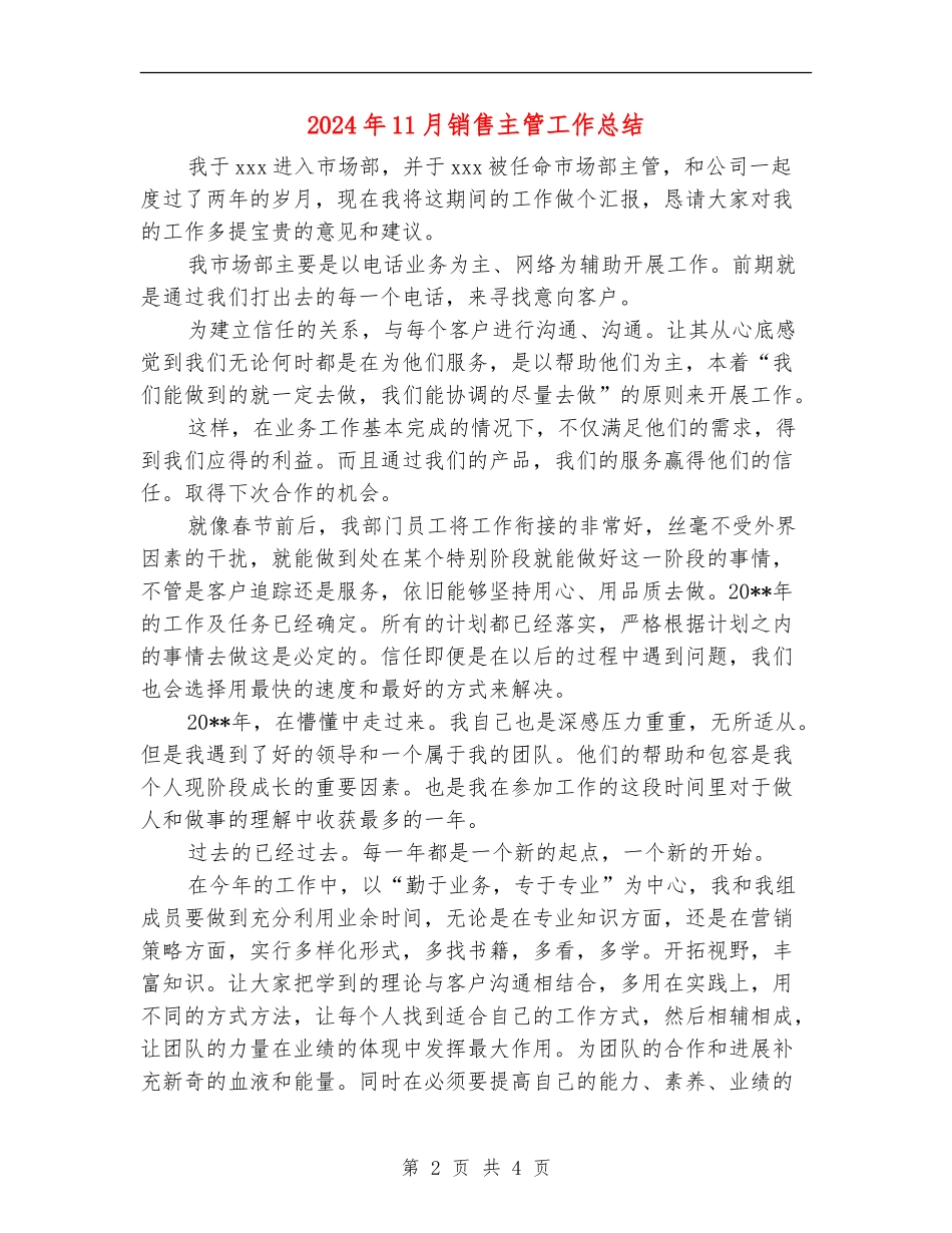 2024年11月销售主管工作总结_第2页