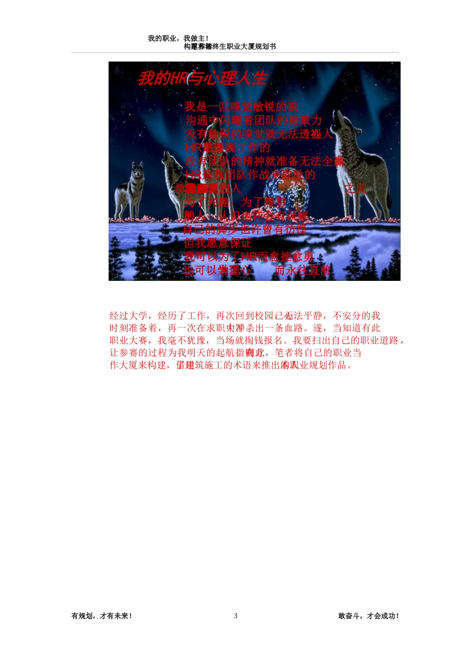 职业生涯规划案例1_第3页