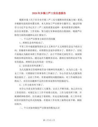 2024年乡镇三严三实自查报告