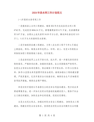 2024年县水利工作计划范文