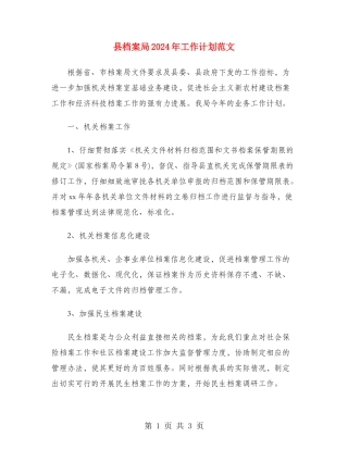 县档案局2024年工作计划范文