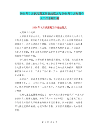 2024年3月试用期工作总结范文与2024年3月财务个人工作总结汇编