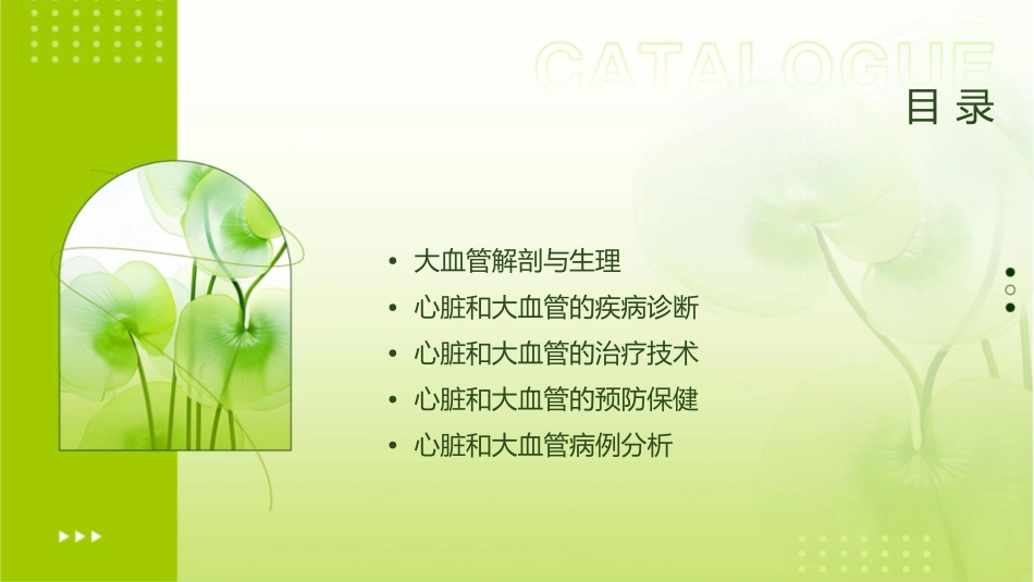 心脏和大血管课件_第2页