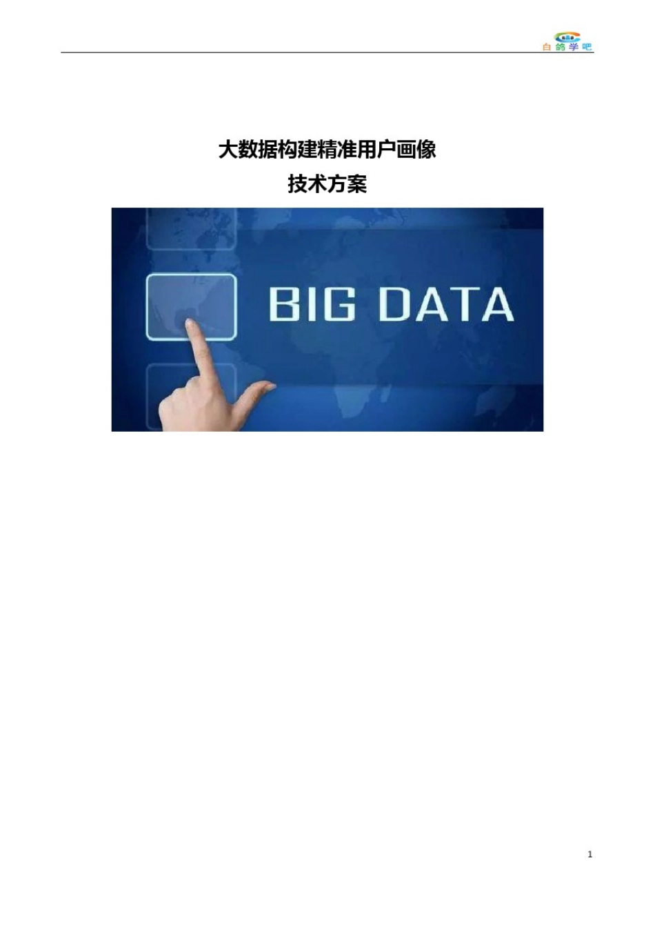 大数据构建精准用户画像技术方案_第1页