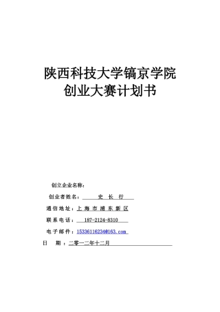 某科技大学镐京学院创业大赛计划书