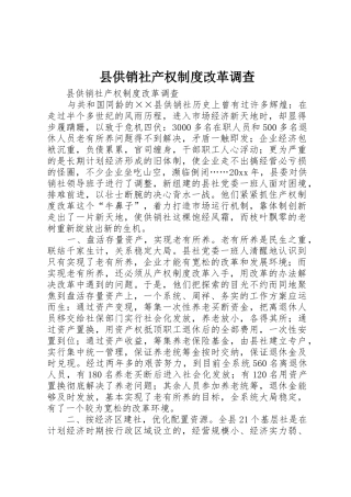 县供销社产权规章制度改革调查
