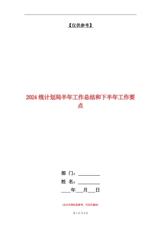 2024统计划局半年工作总结和下半年工作要点