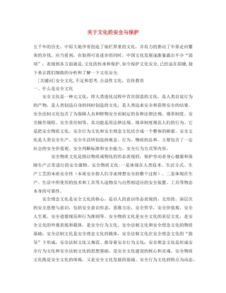 《安全文化》之关于文化的安全与保护 