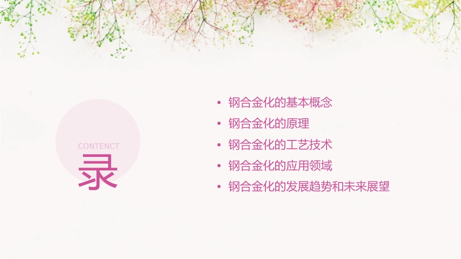 钢合金化概论综述课件_第2页