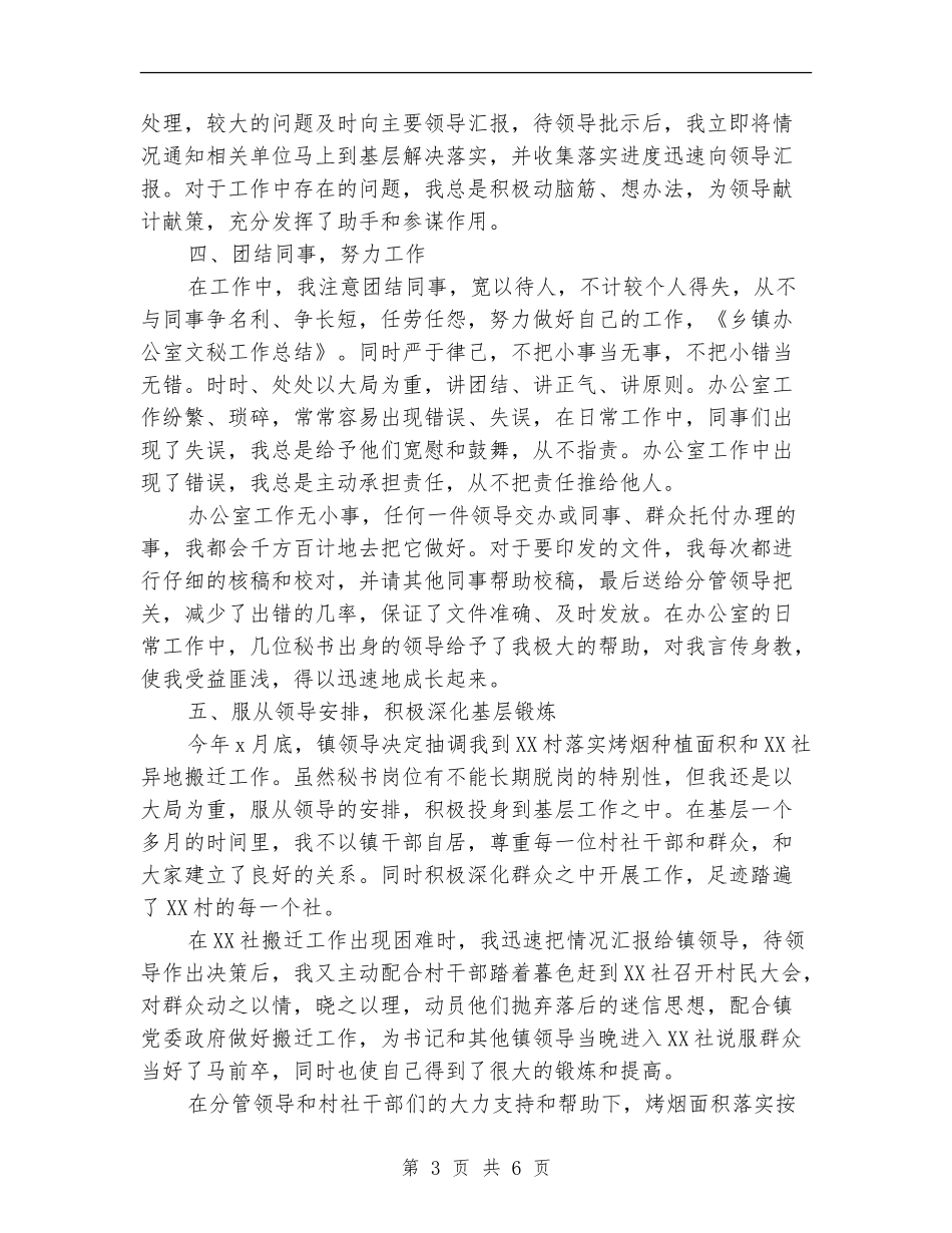 乡镇文秘工作总结_第3页