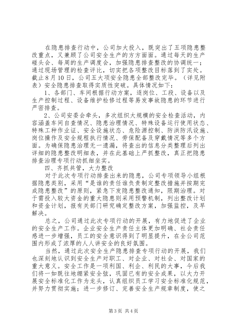 安全生产隐患排查治理专项行动情况总结_第3页