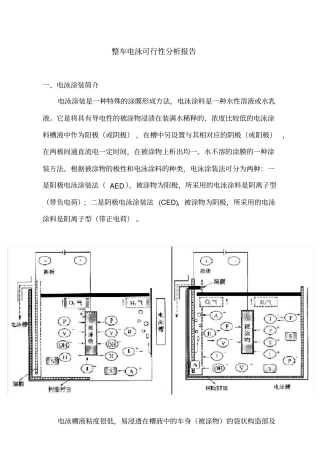 前处理电泳情况分析报告