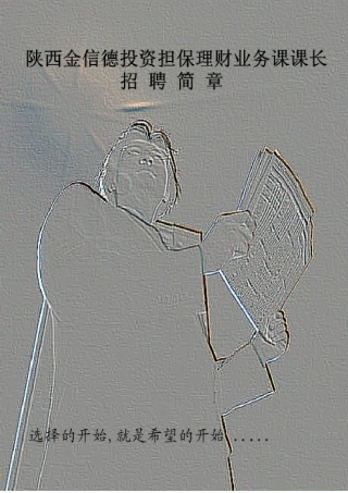 陕西金信德投资担保理财业务课课长招聘章程