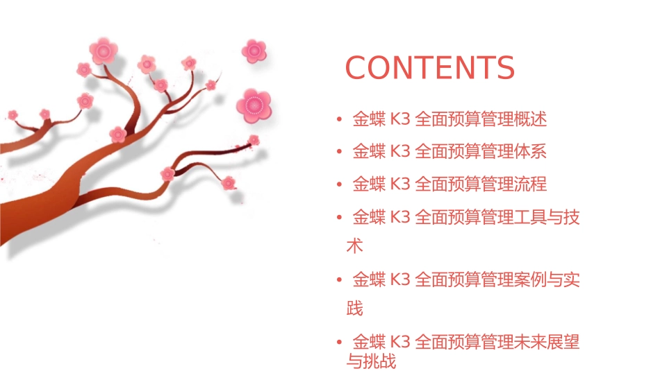 金蝶K3全面预算管理课件_第2页