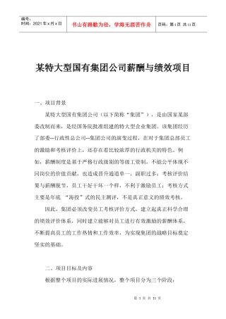 某公司薪酬与绩效项目