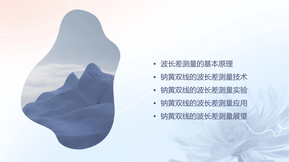 钠黄双线的波长差测量综述课件_第2页