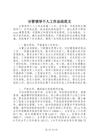 分管领导个人工作总结范文