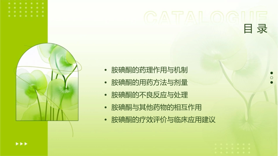 胺碘酮指南护理课件_第2页