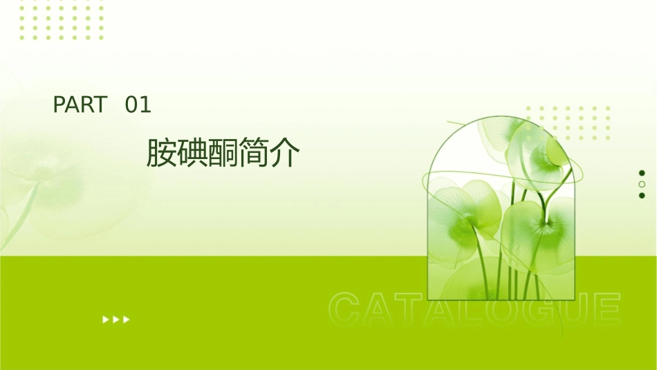 胺碘酮指南护理课件_第3页