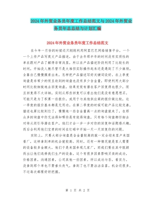 2024年外贸业务员年度工作总结范文与2024年外贸业务员年总总结与计划汇编