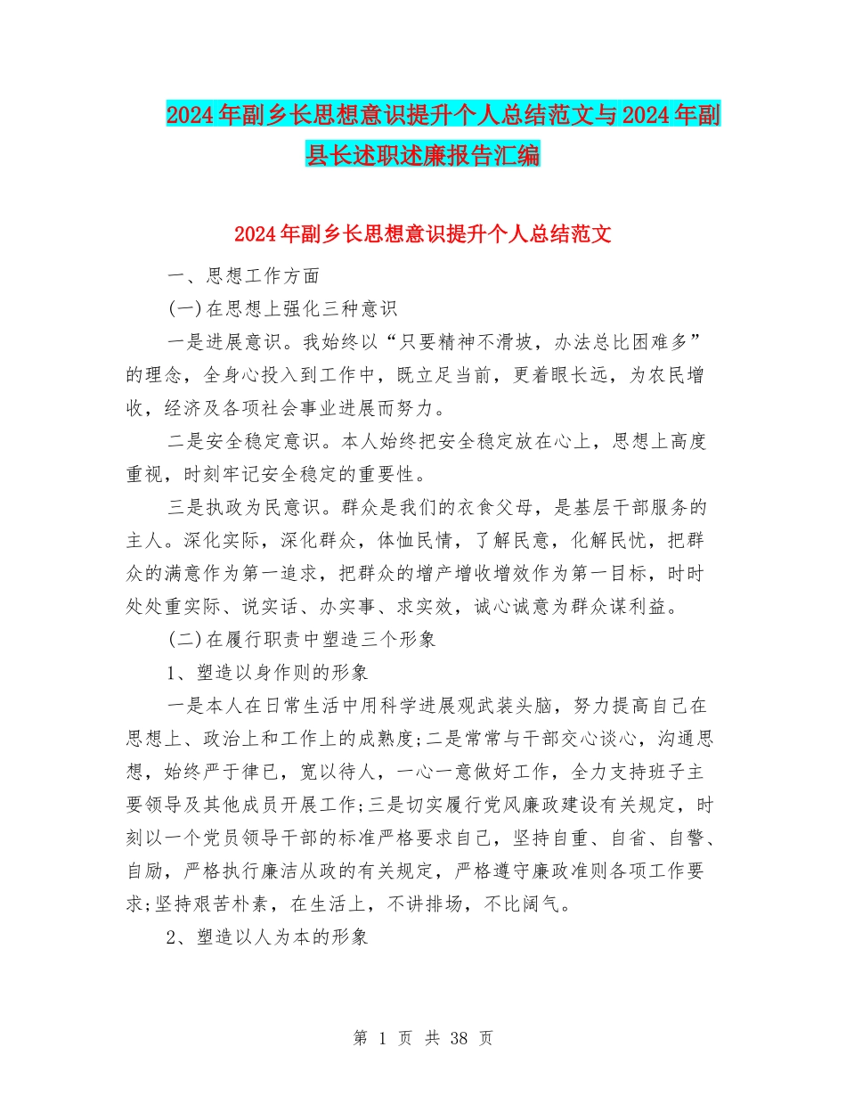 2024年副乡长思想意识提升个人总结范文与2024年副县长述职述廉报告汇编_第1页