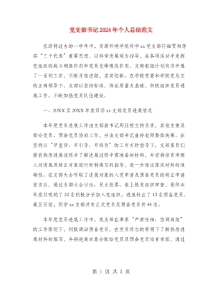 党支部书记2024年个人总结范文