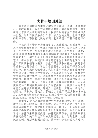 大骨干培训总结