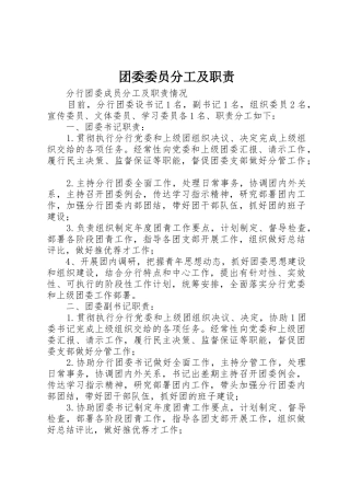 团委委员分工及职责要求 