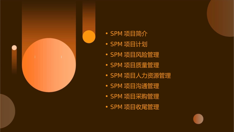 成功的项目管理SPM课件_第2页
