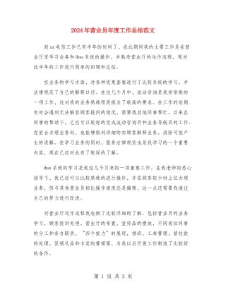 2024年营业员年度工作总结范文