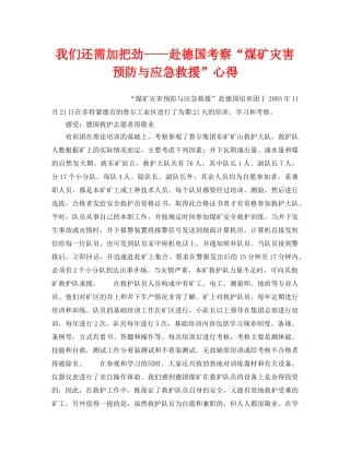 《安全管理应急预案》之我们还需加把劲----赴德国考察“煤矿灾害预防与应急救援”心得 