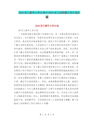 2024员工新年工作计划与2024员工试用期工作计划汇编