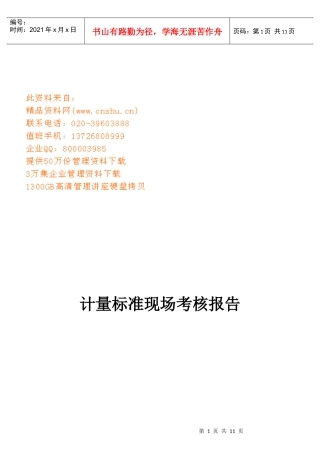 计量标准现场考核报告范本