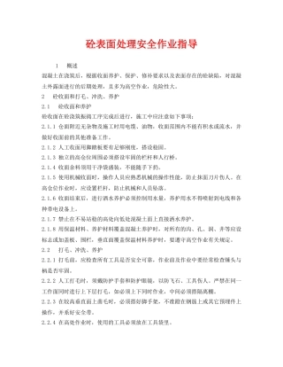 《安全技术》之砼表面处理安全作业指导 