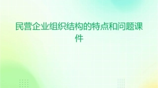 民营企业组织结构的特点和问题课件