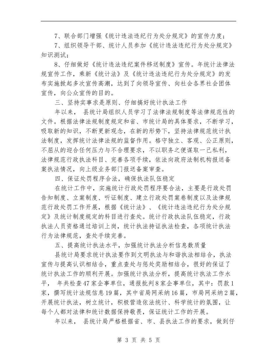 统计局执法工作2024年度总结_第3页