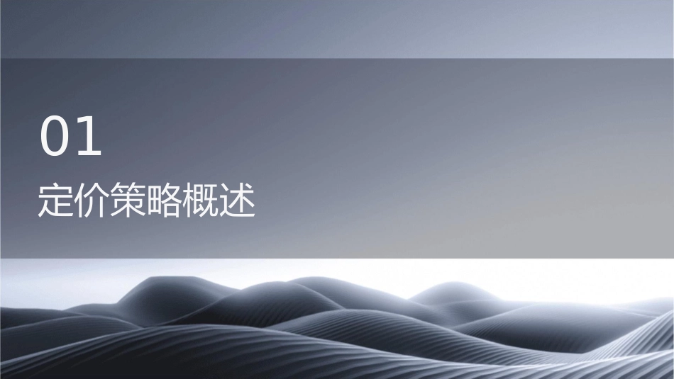 定价的策略和战术课件_第3页