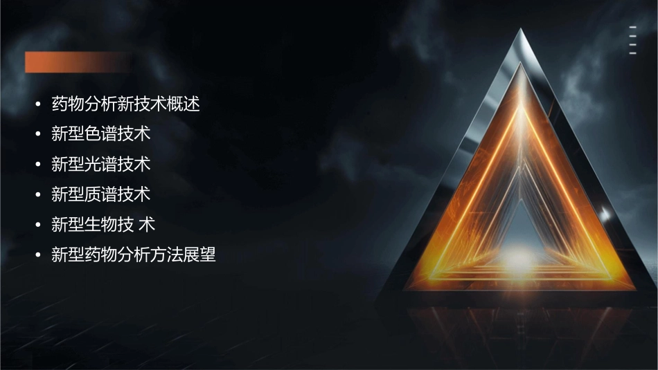 第十六章药物分析中的新技术新方法课件_第2页