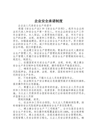 企业安全承诺管理规章制度