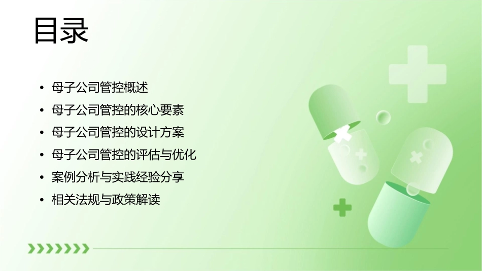 某公司母子管控设计报告书课件_第2页