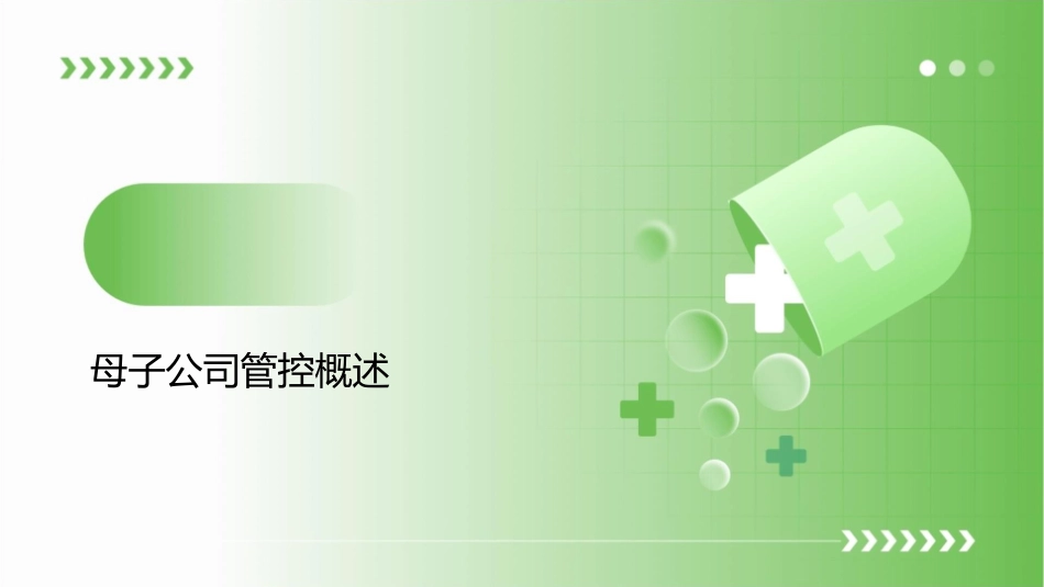 某公司母子管控设计报告书课件_第3页